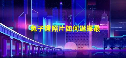 兔子燈照片如何選擇最適合您的兔子燈設計