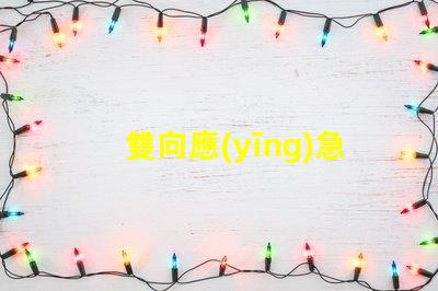 雙向應(yīng)急指示燈保障安全的關(guān)鍵照明解決方案